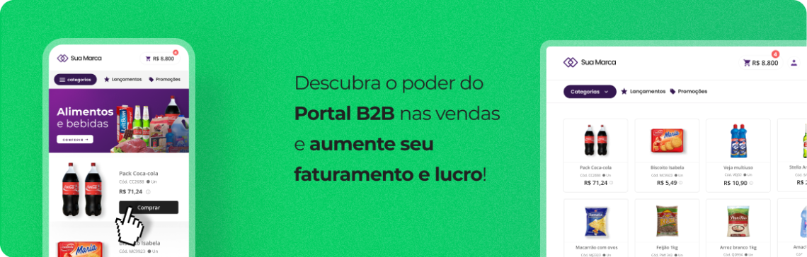 portal-b2b.png