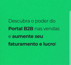 portal-b2b.png
